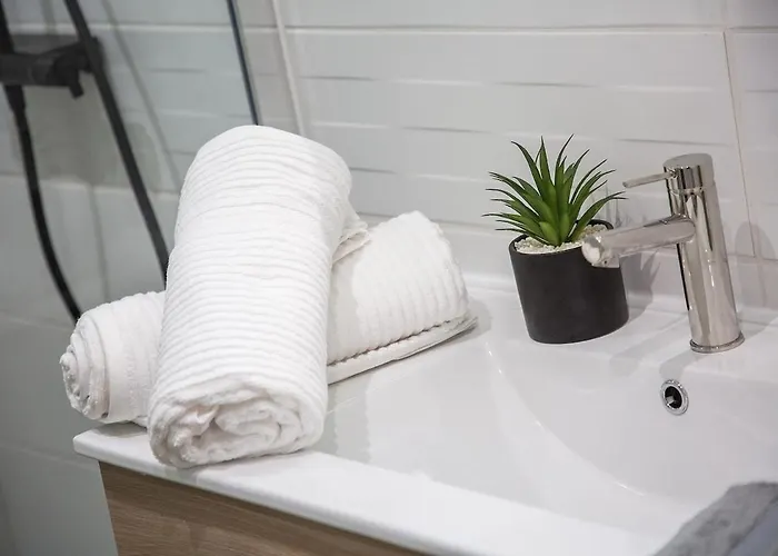 Apartment Le Coup De Coeur - A 4min Du Sanctuaire - 1min Des Commerces - 3pers Lourdes